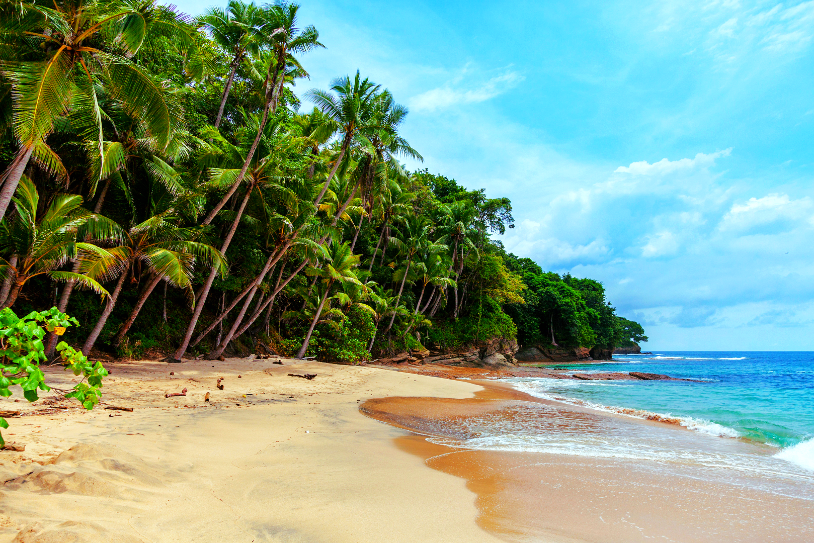 History of Tamanu Oil in South Pacific Islanders’ Creams and Health Products